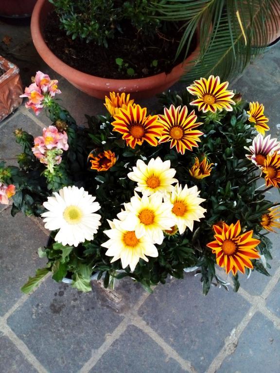 Bed and breakfast La Casa Di Ro Roma